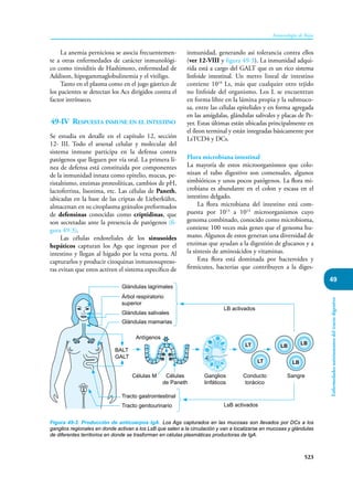 Inmunologia de Rojas 17ed.pdf