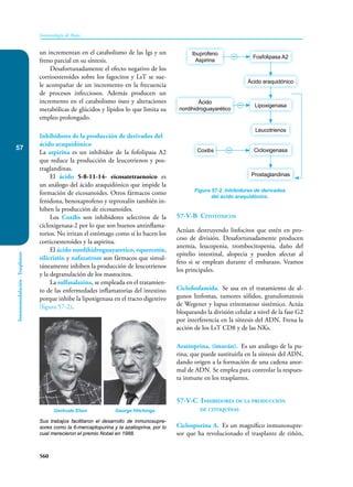 Inmunologia de Rojas 17ed.pdf