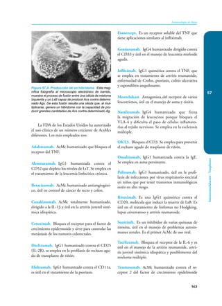 Inmunologia de Rojas 17ed.pdf