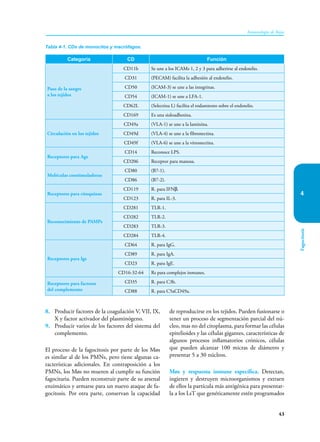 43
Inmunología de Rojas
Fagocitosis
4
8. Producir factores de la coagulación V, VII, IX,
X y factor activador del plasminógeno.
9. Producir varios de los factores del sistema del
complemento.
El proceso de la fagocitosis por parte de los Møs
es similar al de los PMNs, pero tiene algunas ca-
racterísticas adicionales. En contraposición a los
PMNs, los Møs no mueren al cumplir su función
fagocitaria. Pueden reconstruir parte de su arsenal
enzimático y armarse para un nuevo ataque de fa-
gocitosis. Por otra parte, conservan la capacidad
de reproducirse en los tejidos. Pueden fusionarse o
tener un proceso de segmentación parcial del nú-
cleo, mas no del citoplasma, para formar las células
epitelioides y las células gigantes, características de
algunos procesos inflamatorios crónicos, células
que pueden alcanzar 100 micras de diámetro y
presentar 5 a 30 núcleos.
Møs y respuesta inmune específica. Detectan,
ingieren y destruyen mi­
cro­
organismos y extraen
de ellos la partícula más antigénica para presentar-
la a los LsT que genéticamente estén programados
Tabla 4-1. CDs de monocitos y macrófagos.
Categoría CD Función
Paso de la sangre
a los tejidos
CD11b Se une a los ICAMs 1, 2 y 3 para adherirse al endotelio.
CD31 (PECAM) facilita la adhesión al endotelio.
CD50 (ICAM-3) se une a las integrinas.
CD54 (ICAM-1) se une a LFA-1.
CD62L (Selectina L) facilita el rodamiento sobre el endotelio.
CD169 Es una sialoadhesina.
Circulación en los tejidos
CD49a (VLA-1) se une a la laminina.
CD49d (VLA-4) se une a la fibronectina.
CD49f (VLA-6) se une a la vitronectina.
Receptores para Ags
CD14 Reconoce LPS.
CD206 Receptor para manosa.
Moléculas coestimuladoras
CD80 (B7-1).
CD86 (B7-2).
Receptores para citoquinas
CD119 R. para IFNβ.
CD123 R. para IL-3.
Reconocimiento de PAMPs
CD281 TLR-1.
CD282 TLR-2.
CD283 TLR-3.
CD284 TLR-4.
Receptores para Igs
CD64 R. para IgG.
CD89 R. para IgA.
CD23 R. para IgE.
CD16-32-64 Rs para complejos inmunes.
Receptores para factores
del complemento
CD35 R. para C3b.
CD88 R. para C5aCD49a.
 