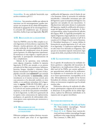 57
Inmunología de Rojas
Fagocitosis
4
Azurocidina. Es una molécula bactericida cuya
acción es máxima a pH 5,7.
Colectinas. Son proteínas solubles que además de
reaccionar con los microorganismos, pueden inte-
ractuar con receptores de las células del hospedero,
facilitando la agregación de los microorganismos y
la activación del complemento que, al opsonizar
microbios, facilita el que sean fagocitados. Ver 2-V.
4-IX Regulación de la fagocitosis
Tanto los PMNNs como los Møs cumplen su ac-
ción fa­
go­
citaria en forma directa y espontánea No
obstante, muchos gérmenes solo son fagocitados
cuando moléculas de inmunoglobulinas o facto-
res derivados del complemento sirven de puente
entre el germen y la célula fagocitaria (opsoninas).
El neumococo es más exigente y requiere para ser
fagocitado, la participación simultáneamente de
Acs y complemento.
Además de las opsoninas, otras moléculas
como algunas citoquinas, modulan la respuesta
fagocitaria. El IFNγ, por ejemplo, es un potente
activador de los Møs contra protozoos, helmintos,
bacterias, hongos, clamidias y rickettsias. Otros
factores incrementan la fagocitosis como el deca-
péptido conocido como sustancia P, que estimula
a los Møs peritoneales; la neurotensina, aislada
inicialmente en el sistema nervioso central, pero
cuya presencia se ha detectado también en otros
tejidos, es un poderoso estimulante de la fagoci-
tosis; la tupsina (THR-LIS-TUR-ARG), que se
origina en la región constante 2 de la IgG, por
la acción de una enzima producida en el bazo, la
tupsinasa, es uno de los más potentes estimulado-
res de la fagocitosis. La falta de la generación de
la tupsina como consecuencia de esplenectomía,
predispone a la aparición de enfermedades infec-
ciosas graves como septicemias por neumococo y
meningococo.
4-X Mecanismos de los
microorganismos para evadir
la fagocitosis
Diferentes patógenos emplean distintos mecanis-
mos de evasión para evitar el ser fagocitados:
acidificación del fagosoma, evitar la fusión de este
a los lisosomas, frenar la activación de moléculas
microbicidas, o desarrollan mecanismo para salir
del fagosoma y pasar al citoplasma del fagocito. Los
siguientes son ejemplos de esos mecanismos. 1)
Mycobacterium tuberculosis detiene la maduración
del fagosoma, impide la acidificación del mismo y
escapa del fagosoma hacia el citoplasma. 2) Neis-
seria gonorrhoeae, reduce la generación de radicales
del oxígeno, ROS. 3) Legionella pneumophila, ma-
nipula el fagosoma y logra replicarse en su interior.
4) Histoplasma capsulatum, mantiene el pH de la
vacuola en 6.5 y bloque la fusión con los lisosomas.
5) Clostridium botulinum y C. tetanus inhiben la
formación de vacuolas fagocitarias, 6) E. coli, evita
el ser fagocitada, 7) Cryptococcus neoformans, logra
no solo evitar el ser destruido en el fagosoma, sino
que por un mecanismo especial, vomocytosis, logra
escapar de la célula, sin producir la lisis de la misma.
4-XI La fagocitosis y la clínica
En el capítulo 30 estudiaremos los múltiples de-
fectos genéticos y adquiridos del mecanismo de
la fagocitosis y sus implicaciones clínicas. La pér-
dida total de los PMNs, por anemia aplástica o
por agrunolocitosis inducida por los medicamen-
tos empleados en el tratamiento del cáncer es, si
no se tratan oportunamente, incompatibles con la
vida. Afortunadamente el empleo de los factores
formadores de colonias, constituyen en la práctica
clínica un instrumento terapéutico que ha salvado
muchas vidas.
Deficiencias selectivas de moléculas de adhe-
rencia, quimioquinas o algunas de las enzimas que
se almacenan en los gránulos de las células fago-
cíticas, explican las diferencias individuales en la
respuesta ante un agresor microbiano.
Lecturas recomendadas
*** Davies LC, Jenkins SJ, Allen JE and Taylor
PR. Tissue-resident macrophages. Natural
Immunology, 14: 986-95, 2013.
*** Davis LC et al. Distinct bone marrow-de-
rived and tissue resident macrophage-lineages
proliferate at key stages during inflammation.
Nat. Commun, 4, 1886, 2013.
 