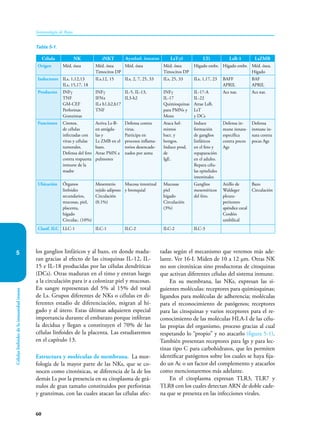 60
Inmunología de Rojas
Células
linfoides
de
la
inmunidad
innata
5 los ganglios linfáticos y al bazo, en donde madu-
ran gracias al efecto de las citoquinas IL-12, IL-
15 e IL-18 producidas por las células dendríticas
(DCs). Otras maduran en el timo y entran luego
a la circulación para ir a colonizar piel y mucosas.
En sangre representan del 5% al 15% del total
de Ls. Grupos diferentes de NKs o células en di-
ferentes estadio de diferenciación, migran al hí-
gado y al útero. Estas últimas adquieren especial
importancia durante el embarazo porque infiltran
la decidua y llegan a constituyen el 70% de las
células linfoides de la placenta. Las estudiaremos
en el capítulo 13.
Estructura y moléculas de membrana. La mor-
fología de la mayor parte de las NKs, que se co-
nocen como citotóxicas, se diferencia de la de los
demás Ls por la presencia en su citoplasma de grá-
nulos de gran tamaño constituidos por perforinas
y granzimas, con las cuales atacan las células afec-
tadas según el mecanismo que veremos más ade-
lante. Ver 16-I. Miden de 10 a 12 µm. Otras NK
no son citotóxicas sino productoras de citoquinas
que activan diferentes células del sistema inmune.
En su membrana, las NKs, expresan las si-
guientes moléculas: receptores para quimioquinas;
ligandos para moléculas de adherencia; moléculas
para el reconocimiento de patógenos; receptores
para las citoquinas y varios receptores para el re-
conocimiento de las moléculas HLA-I de las célu-
las propias del organismo, proceso gracias al cual
respetando lo “propio” y no atacarlo (figura 5-1).
También presentan receptores para Igs y para lec-
tinas tipo C para carbohidratos, que les permiten
identificar patógenos sobre los cuales se haya fija-
do un Ac o un factor del complemento y atacarlos
como mencionaremos más adelante.
En el citoplasma expresan TLR3, TLR7 y
TLR8 con los cuales detectan ARN de doble cade-
na que se presenta en las infecciones virales.
Célula NK iNKT Ayudad. innatas LsTγδ LTi LsB-1 LsZMB
Origen Méd. ósea Méd. ósea
Timocitos DP
Méd. ósea Méd. ósea
Timocitos DP
Hígado embr. Hígado embr. Méd. ósea.
Hígado
Inductores ILs, 1,12,13
ILs, 15,17, 18
ILs,12, 15 ILs, 2, 7, 25, 33 ILs, 25, 33 ILs, 1,17, 23 BAFF
APRIL
BAF
APRIL
Productos INFγ
TNF
GM-CEF
Perforinas
Granzimas
INFγ
IFNα
ILs h1,h2,h17
TNF
IL-5, IL-13,
IL3-h2
INFγ
IL-17
Quimioquinas
para PMNs y
Mons
IL-17-A
IL-22
Atrae LsB,
LsT
y DCs
Acs nas. Acs nat.
Funciones Citotox.
de células
infectadas con
virus y células
tumorales.
Defensa del feto
contra respuesta
inmune de la
madre
Activa Ls-B-
en amígda-
las y
Ls ZMB en el
bazo.
Atrae PMN a
pulmones
Defensa contra
virus.
Participa en
procesos inflama-
torios desencade-
nados por asma
Ataca hel-
mintos
bact. y
hongos.
Induce prod.
de
IgE.
Induce
formación
de ganglios
linfáticos
en el feto y
repaparación
en el adulto.
Repara célu-
las epiteliales
intestinales
Defensa in-
mune innata-
específica
contra pocos
Ags
Defensa
inmune in-
nata contra
pocas Ags
Ubicación Órganos
linfoides
secundarios,
mucosas, piel,
placenta,
hígado
Circulac. (10%)
Mesenterio
tejido adiposo
Circulación
(0.1%)
Mucosa intestinal
y bronquial
Mucosas
piel
hígado
Circulación
(3%)
Ganglios
mesentéricos
del feto.
Anillo de
Waldeger
pleura-
peritoneo
apéndice cecal
Cordón
umbilical
Bazo
Circulación
Clasif. ILC LLC-1 ILC-1 ILC-2 ILC-2 ILC-3
Tabla 5-1.
 