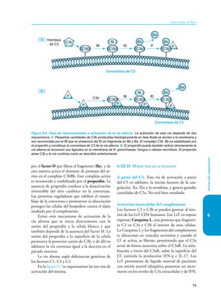 75
Inmunología de Rojas
Sistema
del
complemento
6
por el factor D que libera el fragmento (Ba), y de
esta manera activa el dominio de proteasa del se-
rina en el complejo C3bBb. Este complejo activo
es reconocido y estabilizado por el properdín. La
ausencia de properdín conduce a la desactivación
irreversible del sitio catalítico en la convertasa.
Las proteínas reguladoras que inhiben el ensam-
blaje de la convertasa y promueven su disociación
protegen las células del hospedero contra el daño
mediado por el complemento.
Existe otro mecanismo de activación de la
vía alterna que se inicia directamente con la
unión del propredín a la célula blanco y que
también depende de la ausencia del factor H. La
unión del properdín a la superficie de la célula
promueve la posterior unión de C3b, y de allí en
adelante la vía continua igual a la descrita en el
párrafo anterior.
La vía alterna suple deficiencias genéticas de
los factores C1, C4 y C2.
En la figura 6-7 se esquematizan las tres vías de
activación del sistema.
6-III-D Otras vías de activación
A partir del C5. Esta vía de activación a partir
del C5 en adelante, la inician factores de la coa-
gulación, Xa, XIa y la trombina, y genera grandes
cantidades de C5a. No está bien estudiada.
Activación intracelular del complemento
Los factores C3 y C3b se pueden generar al inte-
rior de los LsT CD4 humanos. Los LsT en reposo
expresan Catepsina L, una proteasa que fragmen-
ta C3 en C3a y C3b al interior de estas células.
La Catepsina L y los fragmentos del complemento
se almacenan en vesículas secretoras y cuando el
LT se activa, se liberan, permitiendo que el C3a
actué de forma autocrina sobre el C3aR. La seña-
lización a través del C3aR, sobre la superficie del
LT, estimula la producción IFN-γ e IL-17. Los
LsT proveniente de líquido sinovial de pacientes
con artritis juvenil idiopática presentan un incre-
mento en los niveles de C3a intracelular y de IFN,
Figura 6-6. Fase de reconocimiento y activación de la vía alterna. La activación de esta vía depende de dos
mecanismos: A. Pequeñas cantidades de C3b producidas fisiológicamente en fase fluida se anclan a la membrana y
son reconocidas por el fB que en presencia del fD se fragmenta en Bb y Ba. El complejo C3b Bb es estabilizado por
el properdín y constituye la convertasa de C3 de la vía alterna. B. El properdín puede también activar directamente la
vía alterna al reconocer sus ligandos en la membrana de N. gonorrhaeae, hongos o células necróticas. El properdín
atrae C3b y la vía continúa como se describió anteriormente.
Convertasa de C3
B
C3b fB fD
P
P
P
P P
Bb
fB
C3b C3b C3b
Ba
A
C3b
C3b
fB fD P P
Bb Bb
fB
C3b C3b C3b
Convertasa de C3
Ba
Hidrólisis
de C3
 