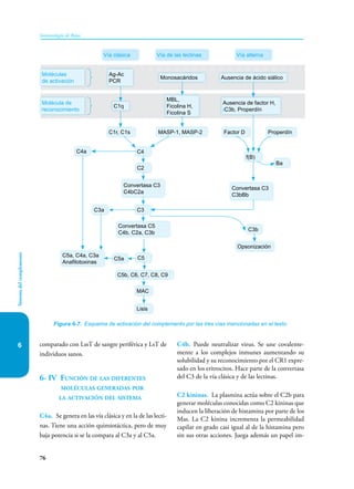76
Sistema
del
complemento
Inmunología de Rojas
6 comparado con LssT de sangre periférica y LsT de
individuos sanos.
6- IV Función de las diferentes
moléculas generadas por
la activación del sistema
C4a. Se genera en las vía clásica y en la de las lecti-
nas. Tiene una acción quimiotáctica, pero de muy
baja potencia si se la compara al C3a y al C5a.
C4b. Puede neutralizar virus. Se une covalente-
mente a los complejos inmunes aumentando su
solubilidad y su reconocimiento por el CR1 expre-
sado en los eritrocitos. Hace parte de la convertasa
del C3 de la vía clásica y de las lectinas.
C2 kininas. La plasmina actúa sobre el C2b para
generar moléculas conocidas como C2 kininas que
inducen la liberación de histamina por parte de los
Mas. La C2 kinina incrementa la permeabilidad
capilar en grado casi igual al de la histamina pero
sin sus otras acciones. Juega además un papel im-
Figura 6-7. Esquema de activación del complemento por las tres vías mencionadas en el texto.
C4
Ba
C2
C3
C3b
Convertasa C5
C4b, C2a, C3b
C5a, C4a, C3a
Anafilotoxinas
C5b, C6, C7, C8, C9
Opsonización
C3a
Convertasa C3
C4bC2a
Convertasa C3
C3bBb
MAC
Lisis
C1r, C1s
C4a
MASP-1, MASP-2
Moléculas
de activación
Monosacáridos Ausencia de ácido siálico
Ag-Ac
PCR
Molécula de
reconocimiento
C1q
MBL,
Ficolina H,
Ficolina S
Ausencia de factor H,
iC3b, Properdín
Vía clásica Vía de las lectinas Vía alterna
Properdín
Factor D
f(B)
C5a C5
 