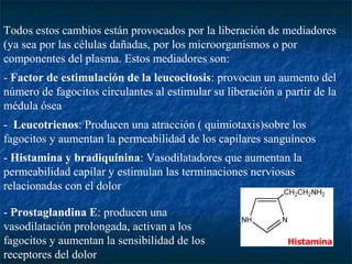 Todos estos cambios están provocados por la liberación de mediadores
(ya sea por las células dañadas, por los microorganismos o por
componentes del plasma. Estos mediadores son:
- Factor de estimulación de la leucocitosis: provocan un aumento del
número de fagocitos circulantes al estimular su liberación a partir de la
médula ósea
- Leucotrienos: Producen una atracción ( quimiotaxis)sobre los
fagocitos y aumentan la permeabilidad de los capilares sanguíneos
- Histamina y bradiquinina: Vasodilatadores que aumentan la
permeabilidad capilar y estimulan las terminaciones nerviosas
relacionadas con el dolor
- Prostaglandina E: producen una
vasodilatación prolongada, activan a los
fagocitos y aumentan la sensibilidad de los
receptores del dolor
 
