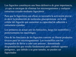 Los fagocitos constituyen una línea defensiva de gran importancia,
ya que se encargan de eliminar los microorganismos y cualquier
estructura extraña mediante fagocitosis
Para que la fagocitosis sea eficaz es necesaria la activación previa ,
es decir la producción de moléculas glucoproteicas en la mb
celular del fagocito que aumentan su capacidad de adhesión a
estructuras extrañas
Los primeros en actuar son los histiocitos, luego los neutrófilos y
posteriormente los macrófagos
Otra de las funciones de los fagocitos consiste en liberar productos
tóxicos para los microorganismos. Los eosinófilos son los
encargados de llevar a cabo este proceso , denominado
desgranulación que resulta fundamental para combatir agentes
patógenos , que debido a su gran tamaño, no pueden ser
fagocitados
 