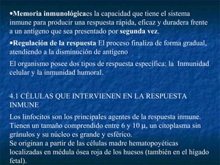 •Memoria inmunológicaes la capacidad que tiene el sistema
inmune para producir una respuesta rápida, eficaz y duradera frente
a un antígeno que sea presentado por segunda vez.
•Regulación de la respuesta El proceso finaliza de forma gradual,
atendiendo a la disminución de antígeno
El organismo posee dos tipos de respuesta específica: la Inmunidad
celular y la inmunidad humoral.
4.1 CÉLULAS QUE INTERVIENEN EN LA RESPUESTA
INMUNE
Los linfocitos son los principales agentes de la respuesta inmune.
Tienen un tamaño comprendido entre 6 y 10 µ, un citoplasma sin
gránulos y su núcleo es grande y esférico.
Se originan a partir de las células madre hematopoyéticas
localizadas en médula ósea roja de los huesos (también en el hígado
fetal).
 