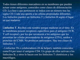 Todos tienen diferentes marcadores en su membrana que pueden
actuar como antígenos, conocidos como clases de diferenciación
CD. La clase a que pertenecen se indica con un número tras las
siglas CD. Cada uno aporta a las células propiedades diferentes.
Los linfocitos pueden ser linfocitos T y linfocitos B según el lugar
en que maduren.
Linfocitos T. Reciben este nombre porque maduran en el timo. En
su membrana poseen receptores específicos para el antígeno (TCR,
T cell receptor), por los que reconocen a los antígenos que les
presentan las células presentadoras de antígenos (CPA), unidos a
proteínas del CMH. No producen anticuerpos. Hay tres clases de
linfocitos T:
- Linfocitos Th o colaboradores (H de helper), también conocidos
comoT4 por tener el antígeno CD4. Un grupo de ellos activan a los
linfocitos B, y otros lo hacen con los linfocitos T citotóxicos y los
macrófagos.
 