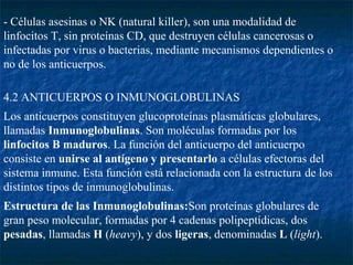- Células asesinas o NK (natural killer), son una modalidad de
linfocitos T, sin proteínas CD, que destruyen células cancerosas o
infectadas por virus o bacterias, mediante mecanismos dependientes o
no de los anticuerpos.
4.2 ANTICUERPOS O INMUNOGLOBULINAS
Los anticuerpos constituyen glucoproteínas plasmáticas globulares,
llamadas Inmunoglobulinas. Son moléculas formadas por los
linfocitos B maduros. La función del anticuerpo del anticuerpo
consiste en unirse al antígeno y presentarlo a células efectoras del
sistema inmune. Esta función está relacionada con la estructura de los
distintos tipos de inmunoglobulinas.
Estructura de las Inmunoglobulinas:Son proteínas globulares de
gran peso molecular, formadas por 4 cadenas polipeptídicas, dos
pesadas, llamadas H (heavy), y dos ligeras, denominadas L (light).
 