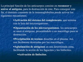 La principal función de los anticuerpos consiste en reconocer y
unirse al antígeno, para la destrucción de éste. Para conseguir este
fin, el dominio constante de la inmunoglobulina puede activar los
siguientes mecanismos:
•Activación del sistema del complemento, que termina
con la lisis del microorganismo.
•Opsonización de los microorganismos. los anticuerpos
se unen al antígeno, presentándolo a un macrófago para su
destrucción.
•Precipitación de toxinas disueltas en el plasma. Así,
son fácilmente destruidas por los macrófagos.
•Aglutinación de antígenos en una determinada zona,
facilitando la acción de los fagocitos y los linfocitos.
•Activación de linfocitos.
 
