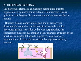 2.- DEFENSAS EXTERNAS
Las barreras externas se encuentran delimitando nuestro
organismo en contacto con el exterior. Son barreras físicas,
químicas o biológicas. Se caracterizan por ser inespecíficas e
innatas
- Barreras físicas, como la piel, que por su grosor y su
descamación natural no es fácilmente atravesada por los
microorganismos; los cilios de las vías respiratorias; las
secreciones mucosas que atrapan a las sustancias extrañas en las
aberturas naturales del aparato digestivo, respiratorio, y
reproductor y el efecto de arrastre de las lagrimas, saliva y
micción.
 