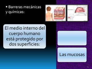 La piel
 Barreras mecánicas
y químicas:
El medio interno del
cuerpo humano
está protegido por
dos superficies:
Las mucosas
9
 