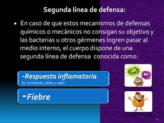 Segunda línea de defensa:
En caso de que estos mecanismos de defensas
químicos o mecánicos no consigan su objetivo

y
las bacterias u otros gérmenes logren pasar
medio interno, el cuerpo dispone de una
al
segunda línea de defensa conocida como:
-Respuesta inflamatoria
Ej: hinchazón, dolor y calor.
-Fiebre
12
 