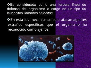 Es considerada como una tercera línea de
dedefensa del organismo a cargo de un tipo
leucocitos llamados linfocitos.
En esta los mecanismos solo atacan agentes
extraños especificos que el organismo ha
reconocido como ajenos.
17
 