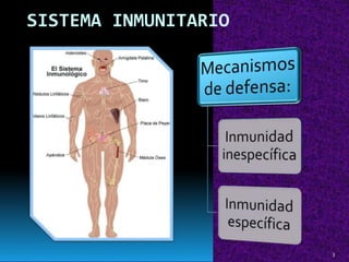 SISTEMA INMUNITARIO
3
 