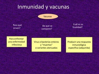 Inmunidad y vacunas
Vacunas
¿Para qué
sirven?
¿De qué se
compone?
¿Cuál es su
finalidad?
Para enfrentar
una enfermedad
infecciosa
Virus o bacterias enteros
y “muertos”
o variantes atenuadas
Producir una respuesta
inmunológica
específica (adquirida)
 