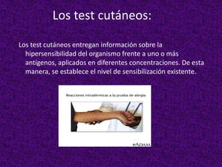 Los test cutáneos:
Los test cutáneos entregan información sobre la
hipersensibilidad del organismo frente a uno o más
antígenos, aplicados en diferentes concentraciones. De esta
manera, se establece el nivel de sensibilización existente.
 