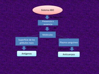 Sistema ABO
Se basa en
Presencia o
ausencia
de
Moléculas
Superficie de los
glóbulos rojos Plasma sanguíneo
Antígenos Anticuerpos
llamadas
llamadas
en
 