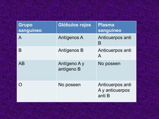 Grupo
sanguíneo
Glóbulos rojos Plasma
sanguíneo
A Antígenos A Anticuerpos anti
B
B Antígenos B Anticuerpos anti
A
AB Antígeno A y
antígeno B
No poseen
O No poseen Anticuerpos anti
A y anticuerpos
anti B
 