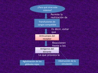 ¿Para qué sirve este
sistema?
Transfusiones de
sangre compatible
Anticuerpos del
receptor
Antígenos del
donante
Aglutinación de los
glóbulos rojos
Obstrucción de la
circulación
Permite la
realización de
Es decir, evitar
que
Reaccionen
frente a los
Lo que provoca la
 