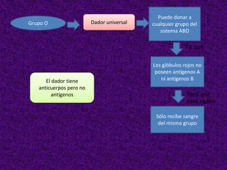 Grupo O Dador universal
Puede donar a
cualquier grupo del
sistema ABO
Los glóbulos rojos no
poseen antígenos A
ni antígenos B
Sólo recibe sangre
del mismo grupo
Ya que
Pero por
esta razón
El dador tiene
anticuerpos pero no
antígenos
 