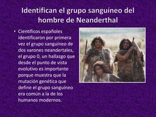 • Científicos españoles
identificaron por primera
vez el grupo sanguíneo de
dos varones neandertales,
el grupo 0, un hallazgo que
desde el punto de vista
evolutivo es importante
porque muestra que la
mutación genética que
define el grupo sanguíneo
era común a la de los
humanos modernos.
 
