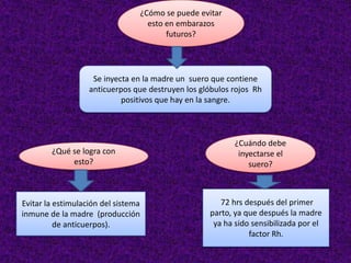 ¿Cómo se puede evitar
esto en embarazos
futuros?
Se inyecta en la madre un suero que contiene
anticuerpos que destruyen los glóbulos rojos Rh
positivos que hay en la sangre.
¿Qué se logra con
esto?
Evitar la estimulación del sistema
inmune de la madre (producción
de anticuerpos).
¿Cuándo debe
inyectarse el
suero?
72 hrs después del primer
parto, ya que después la madre
ya ha sido sensibilizada por el
factor Rh.
 