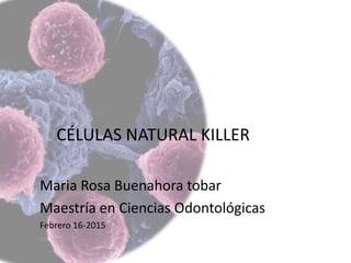 CÉLULAS NATURAL KILLER
Maria Rosa Buenahora tobar
Maestría en Ciencias Odontológicas
Febrero 16-2015
 