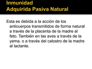 Esta es debida a la acción de los
anticuerpos transmitidos de forma natural
a través de la placenta de la madre al
feto. También en las aves a través de la
yema. o a través del calostro de la madre
al lactante.
 
