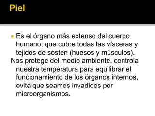  Es el órgano más extenso del cuerpo
humano, que cubre todas las vísceras y
tejidos de sostén (huesos y músculos).
Nos protege del medio ambiente, controla
nuestra temperatura para equilibrar el
funcionamiento de los órganos internos,
evita que seamos invadidos por
microorganismos.
 