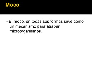 • El moco, en todas sus formas sirve como
un mecanismo para atrapar
microorganismos.
 