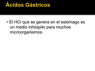 • El HCl que se genera en el estómago es
un medio inhóspito para muchos
microorganismos.
 