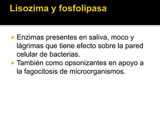 Enzimas presentes en saliva, moco y
lágrimas que tiene efecto sobre la pared
celular de bacterias.
 También como opsonizantes en apoyo a
la fagocitosis de microorganismos.
 