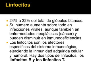  24% a 32% del total de glóbulos blancos.
 Su número aumenta sobre todo en
infecciones virales, aunque también en
enfermedades neoplásicas (cáncer) y
pueden disminuir en inmunodeficiencias.
 Los linfocitos son los efectores
específicos del sistema inmunológico,
ejerciendo la inmunidad adquirida celular
y humoral. Hay dos tipos de linfocitos, los
linfocitos B y los linfocitos T.
 
