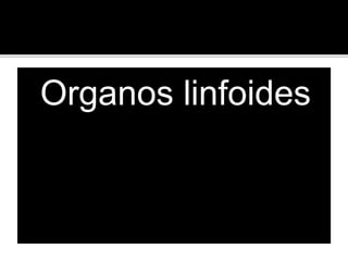 Organos linfoides
 