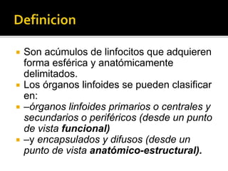  Son acúmulos de linfocitos que adquieren
forma esférica y anatómicamente
delimitados.
 Los órganos linfoides se pueden clasificar
en:
 –órganos linfoides primarios o centrales y
secundarios o periféricos (desde un punto
de vista funcional)
 –y encapsulados y difusos (desde un
punto de vista anatómico-estructural).
 