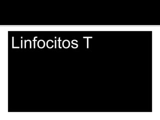 Linfocitos T
 