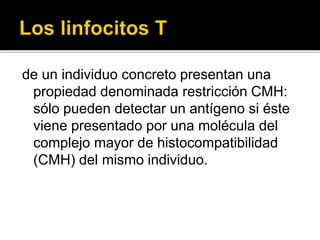 de un individuo concreto presentan una
propiedad denominada restricción CMH:
sólo pueden detectar un antígeno si éste
viene presentado por una molécula del
complejo mayor de histocompatibilidad
(CMH) del mismo individuo.
 