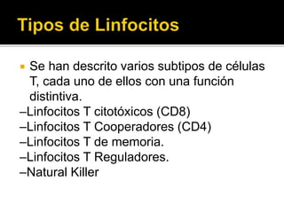  Se han descrito varios subtipos de células
T, cada uno de ellos con una función
distintiva.
–Linfocitos T citotóxicos (CD8)
–Linfocitos T Cooperadores (CD4)
–Linfocitos T de memoria.
–Linfocitos T Reguladores.
–Natural Killer
 