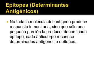  No toda la molécula del antígeno produce
respuesta inmunitaria, sino que sólo una
pequeña porción la produce, denominada
epítope, cada anticuerpo reconoce
determinados antígenos o epítopes.
 