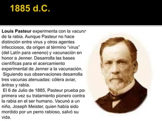 Louis Pasteur experimenta con la vacuna
de la rabia. Aunque Pasteur no hace
distinción entre virus y otros agentes
infecciosos, da origen al término “virus”
(del Latín para veneno) y vacunación en
honor a Jenner. Desarrolla las bases
científicas para el acercamiento
experimental de Jenner a la vacunación.
Siguiendo sus observaciones desarrolla
tres vacunas atenuadas: cólera aviar,
ántrax y rabia.
El 6 de Julio de 1885, Pasteur prueba por
primera vez su tratamiento pionero contra
la rabia en el ser humano. Vacunó a un
niño, Joseph Meister, quien había sido
mordido por un perro rabioso, salvó su
vida.
 