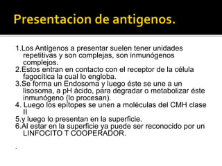 1.Los Antígenos a presentar suelen tener unidades
repetitivas y son complejas, son inmunógenos
complejos.
2.Estos entran en contacto con el receptor de la célula
fagocítica la cual lo engloba.
3.Se forma un Endosoma y luego éste se une a un
lisosoma, a pH ácido, para degradar o metabolizar éste
inmunógeno (lo procesan).
4. Luego los epítopes se unen a moléculas del CMH clase
II
5.y luego lo presentan en la superficie.
6.Al estar en la superficie ya puede ser reconocido por un
LINFOCITO T COOPERADOR.
.
 