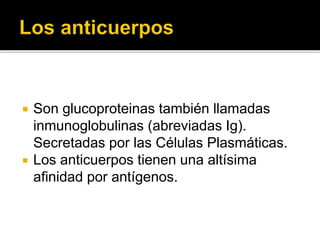  Son glucoproteinas también llamadas
inmunoglobulinas (abreviadas Ig).
Secretadas por las Células Plasmáticas.
 Los anticuerpos tienen una altísima
afinidad por antígenos.
 