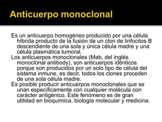 Es un anticuerpo homogéneo producido por una célula
híbrida producto de la fusión de un clon de linfocitos B
descendiente de una sola y única célula madre y una
célula plasmática tumoral.
Los anticuerpos monoclonales (Mab, del inglés
monoclonal antibody), son anticuerpos idénticos
porque son producidos por un solo tipo de célula del
sistema inmune, es decir, todos los clones proceden
de una sola célula madre.
Es posible producir anticuerpos monoclonales que se
unan específicamente con cualquier molécula con
carácter antigénico. Este fenómeno es de gran
utilidad en bioquímica, biología molecular y medicina.
 