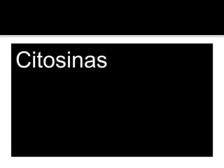 Citosinas
 