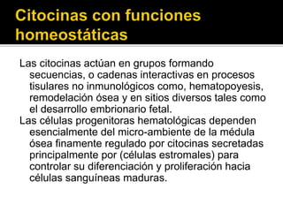 Las citocinas actúan en grupos formando
secuencias, o cadenas interactivas en procesos
tisulares no inmunológicos como, hematopoyesis,
remodelación ósea y en sitios diversos tales como
el desarrollo embrionario fetal.
Las células progenitoras hematológicas dependen
esencialmente del micro-ambiente de la médula
ósea finamente regulado por citocinas secretadas
principalmente por (células estromales) para
controlar su diferenciación y proliferación hacia
células sanguíneas maduras.
 