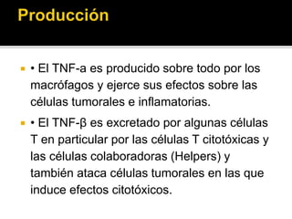  • El TNF-a es producido sobre todo por los
macrófagos y ejerce sus efectos sobre las
células tumorales e inflamatorias.
 • El TNF-β es excretado por algunas células
T en particular por las células T citotóxicas y
las células colaboradoras (Helpers) y
también ataca células tumorales en las que
induce efectos citotóxicos.
 