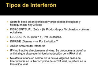  Sobre la base de antigenicidad y propiedades biológicas y
fisicoquímicas hay 3 tipos:
 FIBROEPITELIAL (Beta = β). Producido por fibroblastos y células
epiteliales.
 LEUCOCITARIO (Alfa = α). Por leucocitos.
 INMUNE (Gamma = γ). Por Linfocitos T
 Acción Antiviral del Interferón
 IFN no inactiva directamente al virus. Se produce una proteína
antiviral que al parecer inhibe la traducción del mRNA viral.
 No afecta la función normal de la célula. Algunos casos de
Interferencia en la Transcripción de mRNA viral. Interfiere en la
liberación viral.
 