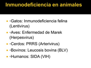  ◦Gatos: Inmunodeficiencia felina
(Lentivirus)
 ◦Aves: Enfermedad de Marek
(Herpesvirus)
 ◦Cerdos: PRRS (Arterivirus)
 ◦Bovinos: Leucosis bovina (BLV)
 ◦Humanos: SIDA (VIH)
 