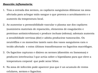 Reacción inflamatoria:
1. Tras a entrada dos xermes, os capilares sanguíneos dilátanse na zona
afectada para achegar máis sangue o que provoca o arrubiamento e o
aumento da temperatura local.
2. Ao aumentar a permeabilidade vascular o plasma sae dos capilares
(suministra materiais de reparación, elementos de coagulación e
proteínas antimicrobianas) e produce inchazo (edema); ademais aumenta
a sensibilidade nerviosa (dor) e adoita producirse tumoración. Os
neutrófilos e os monocitos tamén saen dos vasos sanguíneos cara o
tecido afectado e estos últimos transfórmanse en fagocitos macrófagos.
3. Os fagocitos capturan e dixiren os xermes (dixestión en lisosomas) e
producen interleucina I que actúa sobre o hipotálamo para que eleve a
temperatura corporal que pode xerar febre.
4. Na zona de infección pode aparecer pus que é un acumulo de restos
celulares, xermes e fagocitos.
 